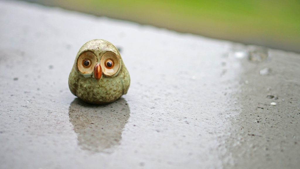 Ceramic owl on wet stone