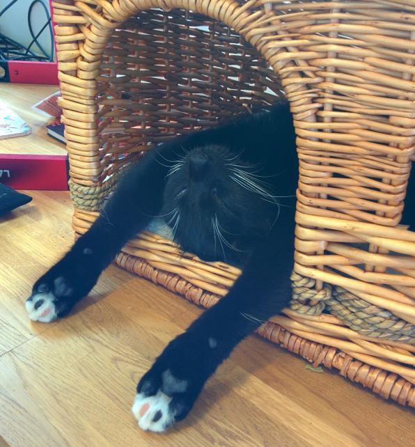 A black cat in a wicker cat home. It is lying on its back, with its paws stretched out.